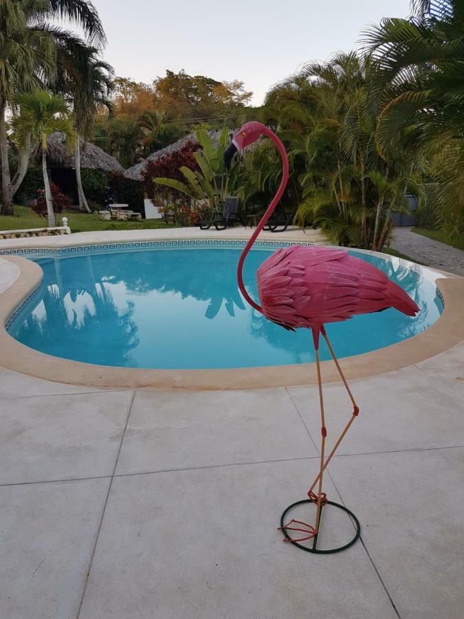 Casa Flamingo Villa Лас Теренас Екстериор снимка