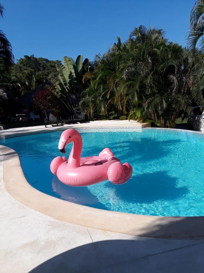 Casa Flamingo Villa Лас Теренас Екстериор снимка